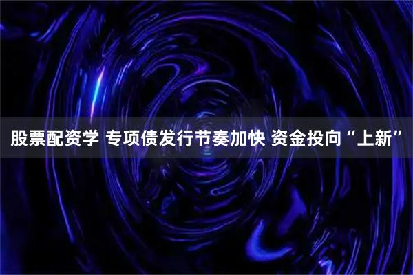 股票配资学 专项债发行节奏加快 资金投向“上新”