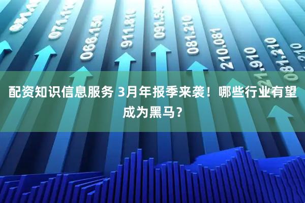 配资知识信息服务 3月年报季来袭！哪些行业有望成为黑马？
