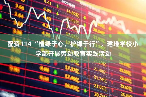 配资114 “植绿于心，护绿于行”，珺琟学校小学部开展劳动教育实践活动